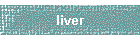 liver