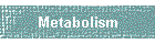 Metabolism