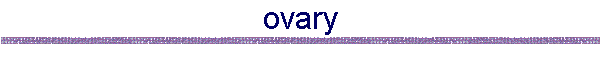 ovary