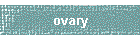 ovary