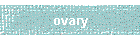 ovary