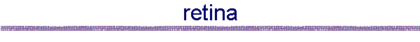 retina