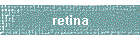 retina