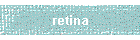 retina