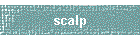 scalp