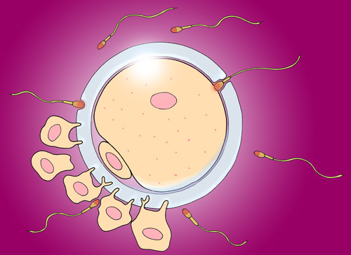 Prostatitis psa test